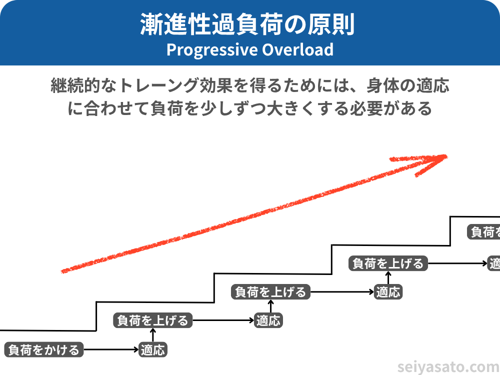 階段状に進むトレーニングの流れを使って、漸進性過負荷の原則を視覚的に表した図。負荷を徐々に高めながら筋肉の成長を促すことを示している。