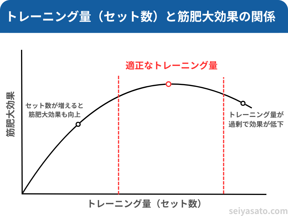 トレーニング量（セット数）と筋肥大の効果の関係を示す曲線グラフ。セット数が増えるにつれて筋肥大効果は高まるが、一定以上で頭打ちになる様子を表現している。
