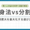 全身法と分割法の違いと筋肥大に合う選び方を解説する記事のアイキャッチ画像